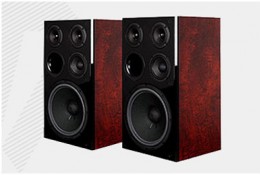 天逸WINNER-BL-1 百灵一号 百灵一号书架音箱